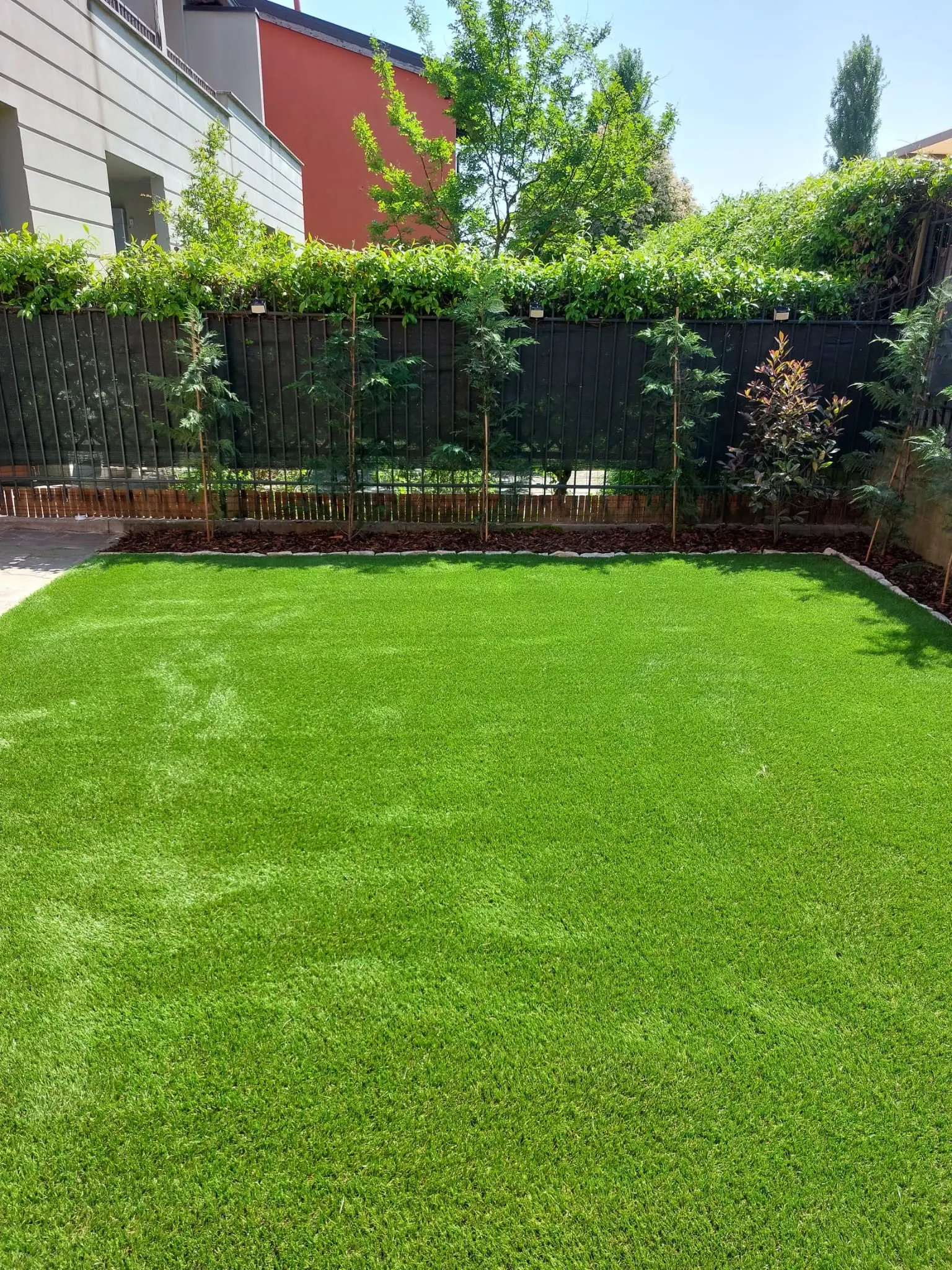 Tappeto erboso verde brillante con giovani piante di conifere a bordo recinzione.